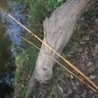 Dtsk prut bambusov, dvoudln, dlka sloenho prutu cca 220 cm. Lakovan, vyvazovan, s vodicmi oky (navdc oko s keramickou vlokou) a okem koncovm, s devnou rukojet s posuvnmi krouky k upevnn navijku.