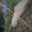 D�tsk� prut bambusov�, dvoud�ln�, d�lka slo�en�ho prutu cca 220 cm. Lakovan�, vyvazovan�, s vodic�mi o�ky (nav�d�c� o�ko s keramickou vlo�kou) a o�kem koncov�m, s d�ev�nou rukojet� s posuvn�mi krou�ky k upevn�n� navij�ku.