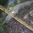 Bambusov prut, tdln, dlka sloenho prutu cca 480 cm. Lakovan, vyvazovan, s vodicmi oky (navdc a koncov oko s keramickou vlokou). Prut nen z vroby osazen drkem navijku.